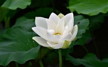Câu chuyện về người ăn mày